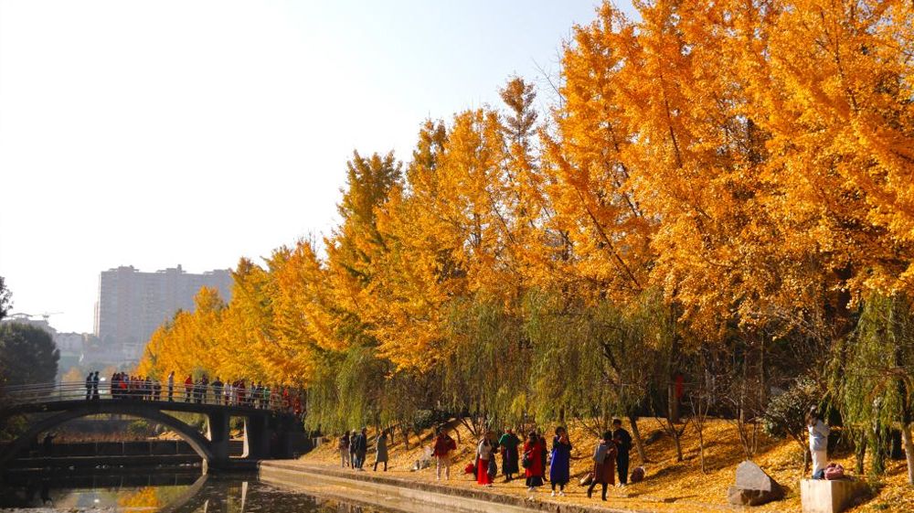美加墨世界杯官方网站风景
