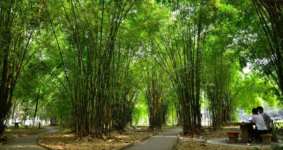 美加墨世界杯官方网站风景