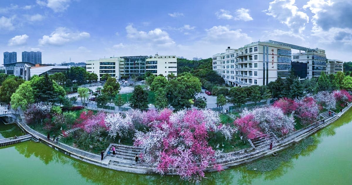 美加墨世界杯官方网站风景